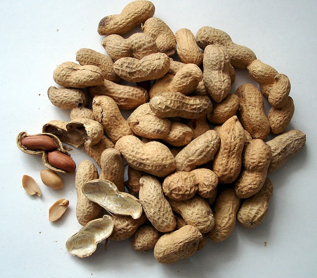 peanuts-1112_640