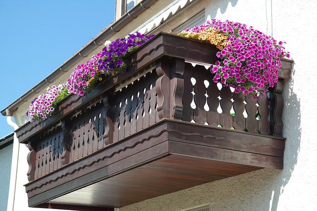 Jakie kwiaty na balkon? 3 balkonowe hity