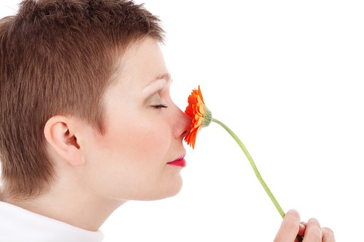 Walka z pleśnią – jak usunąć zapach stęchlizny?